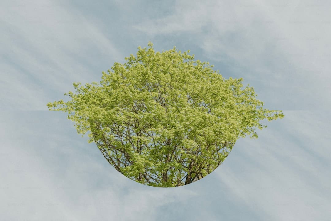 王晶爆料赵露思与经纪公司闹翻真相